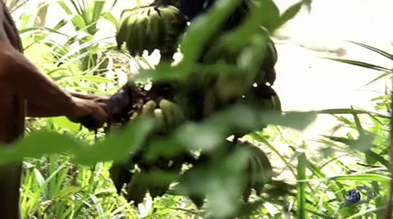 Naked And Afraid S04E07
