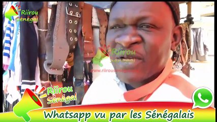 Thieuy WhatsApp in Senegal 📱