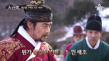꿈 속 고양이가 현실로! 세조의 목숨을 살린 고양이