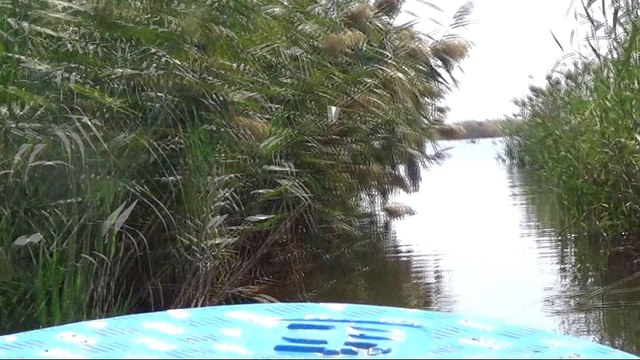 Shrinking Lake Chad to worsen hunger crisis in Africa