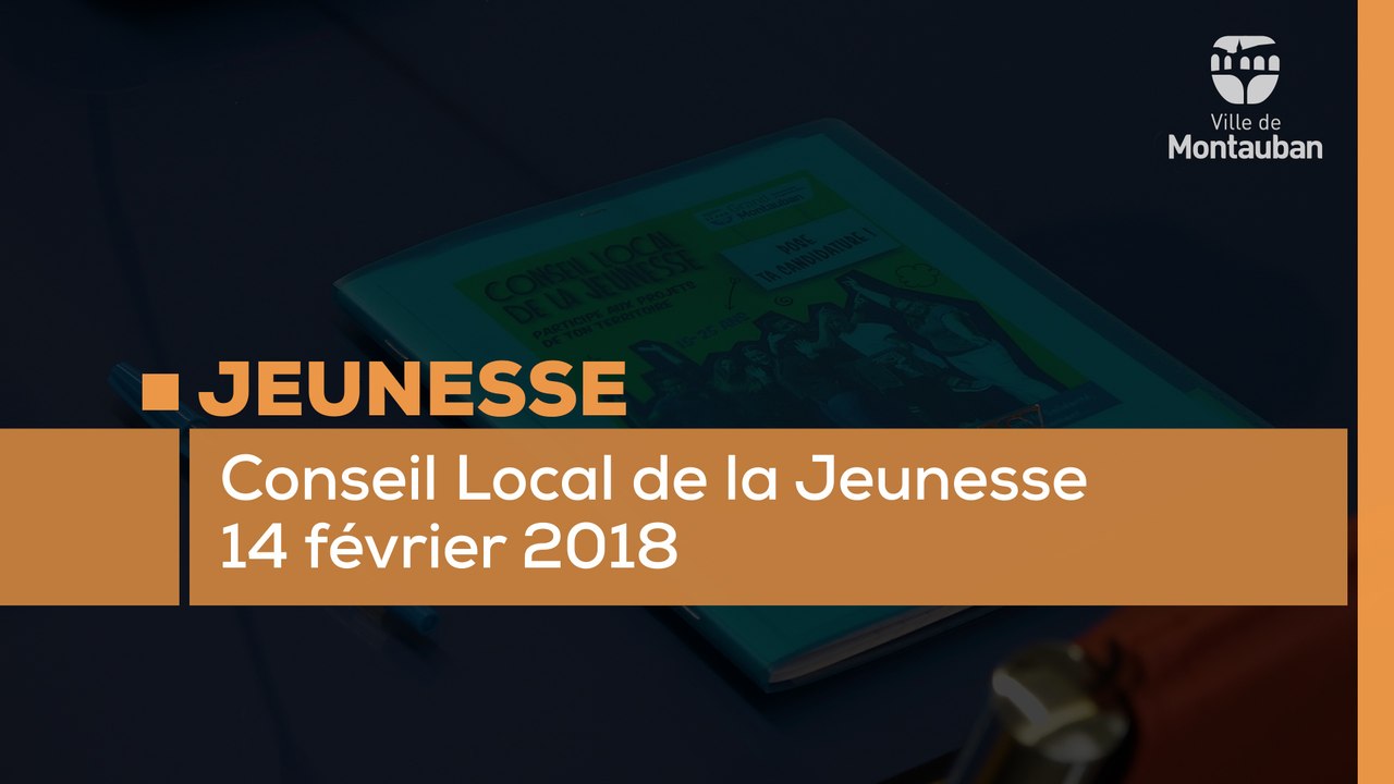 Conseil local de la jeunesse