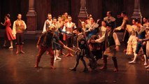 Don Kişot Balesi İstanbul'da İzleyiciyle Buluşuyor Hd