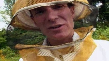 Bill Nye the Science Guy S02E11 Insects