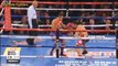Donnie Nietes vs Juan Carlos Reveco - Feb 24, 2018 Full Fight HD