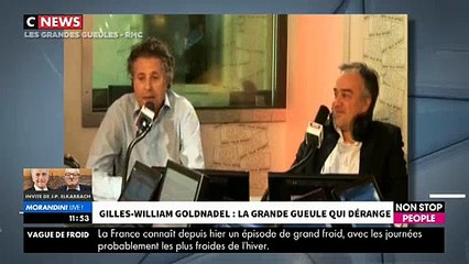 Gilles-William Goldnadel s'exprime sur l'immigration en France : "Qui a pratiqué le terrorisme en France ? Pour la plupart des gens d'origine immigrée"