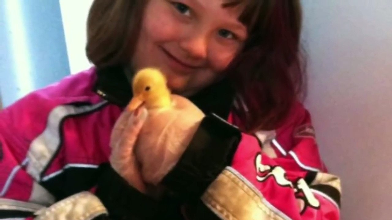 The_Unlikely_Friendship_Of_Max_And_Quackers
