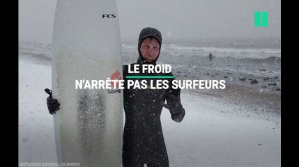 Le froid ne les empêche pas d'aller surfer