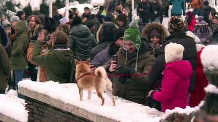 Vague de froid: Rome se réveille sous un manteau de neige