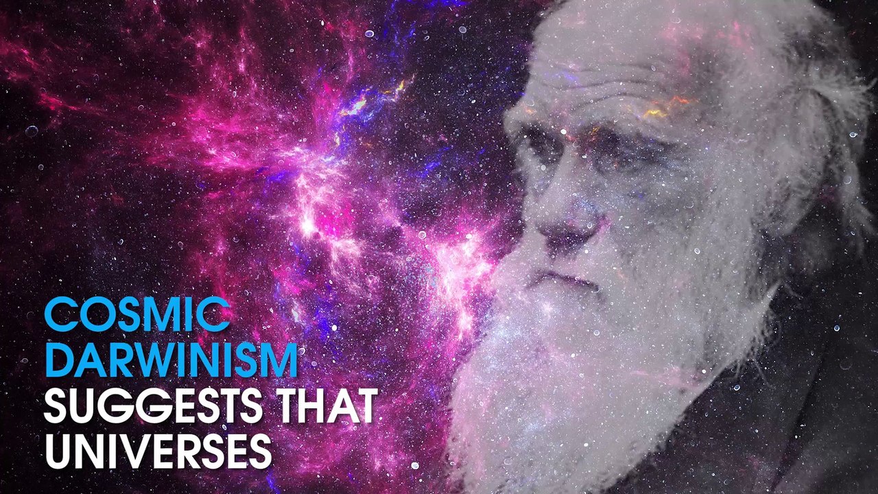 Are There Parallel Universes?