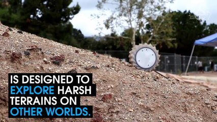 This Origami Robot Will Help NASA Explore Foreign Worlds