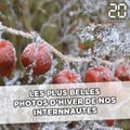 Les plus belles photos d'hiver de nos internautes