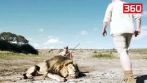 Çifti po bënte foto me luanin, ajo që ndodh më pas do t'ju lërë pa fjalë (360video)