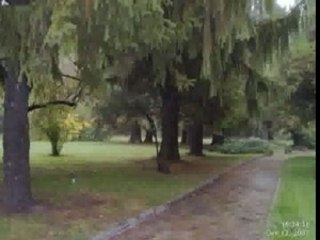 ПАРКА снимкиTobbacoThing.avi