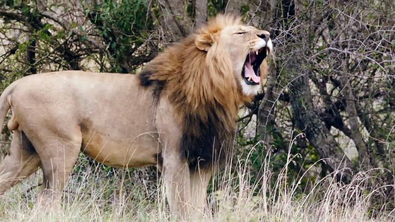 Kayak en interne pour Kayak - « Travel Pro » - Février 2018