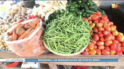 BIGNONA : LE MARAÎCHAGE SE PORTE BIEN