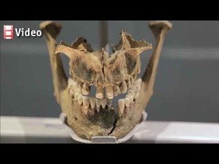 The Vikings' rich history: Beyond berserk