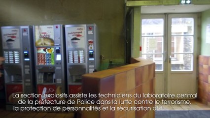 Démonstration de la compagnie cynophile