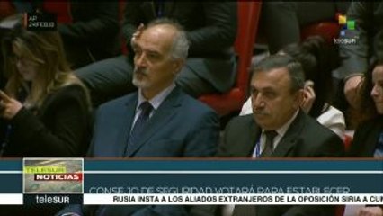 Vota a favor CS-ONU de un cese al fuego por 30 días en Siria