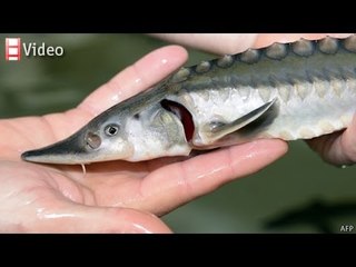 Money talks: May 12th 2014