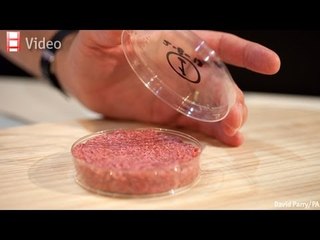 Lean, chargrilled and grown in a lab