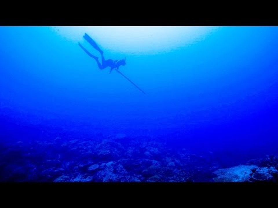 Where have all the fish gone?