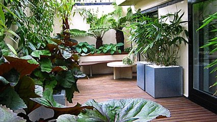 मनी प्लांट का एक पत्ता आपको बर्बाद कर सकता है अगर ये बातें ना जानी | Money Plant | Vastu |