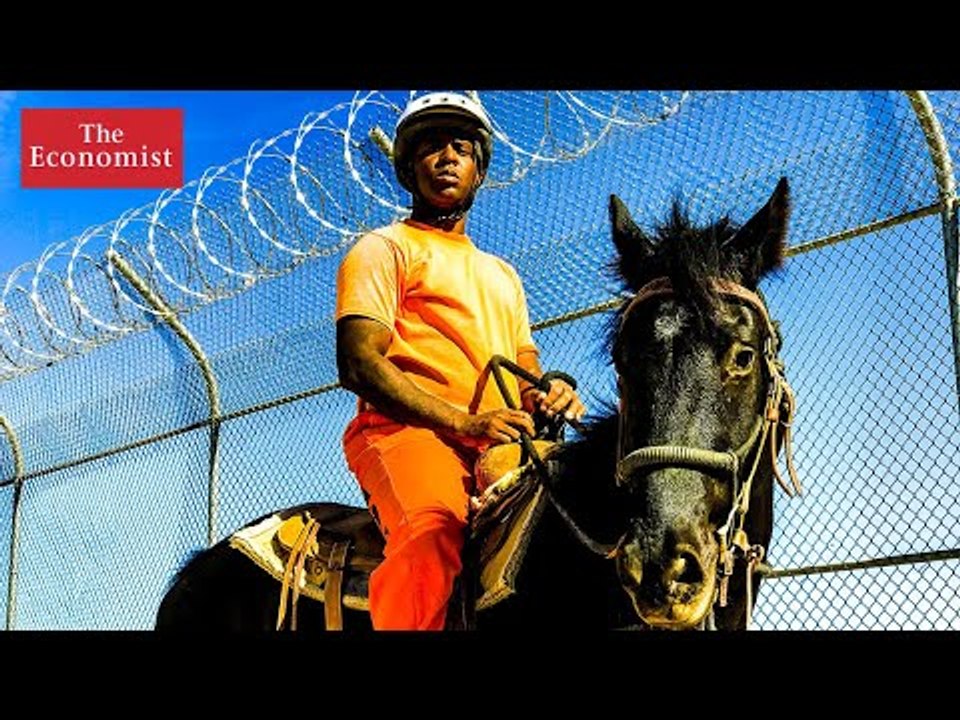 Can horse taming prevent reoffending? | The Economist