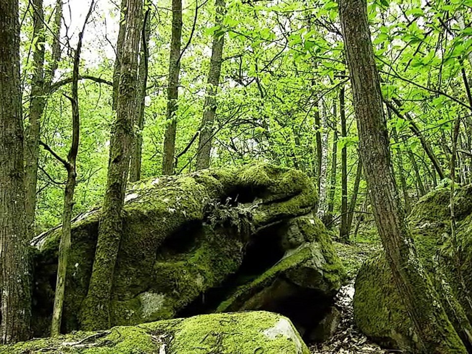 Stonejinns