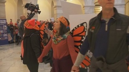 Tribunal Supremo de EEUU rechaza intervenir en la disputa sobre el plan SIN LOC