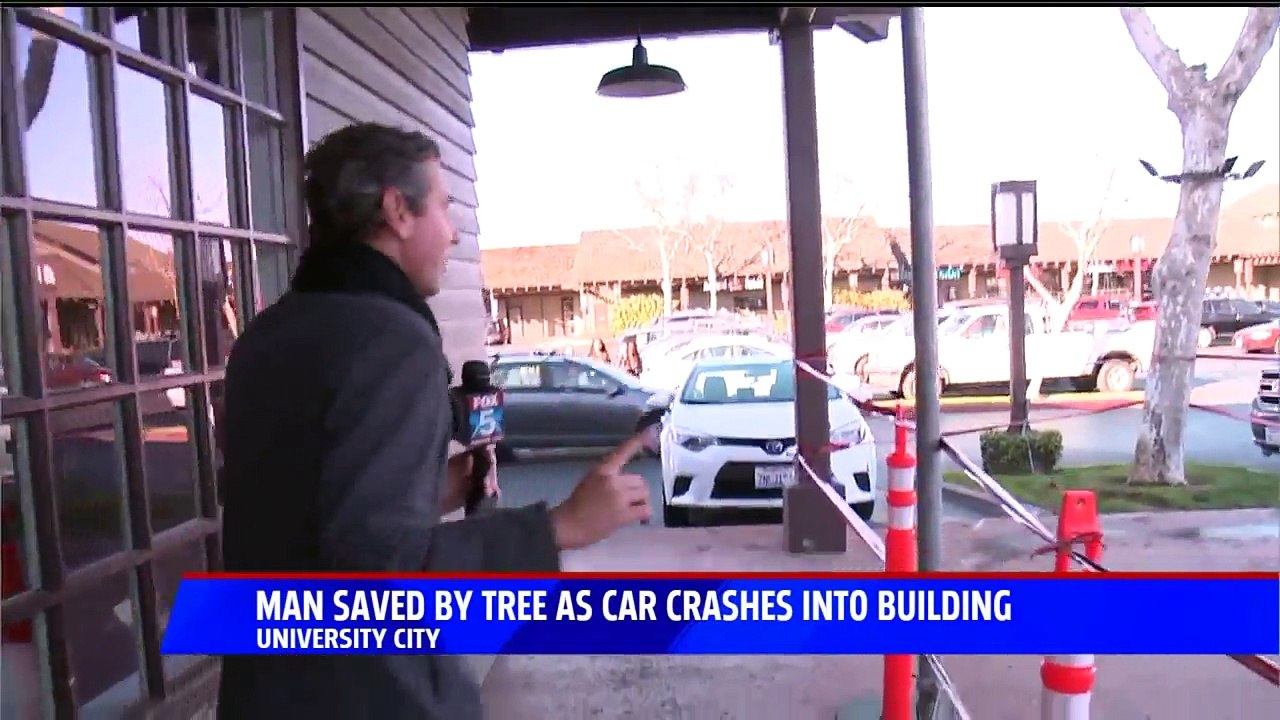 Man Says Tree Saved Him from Runaway SUV