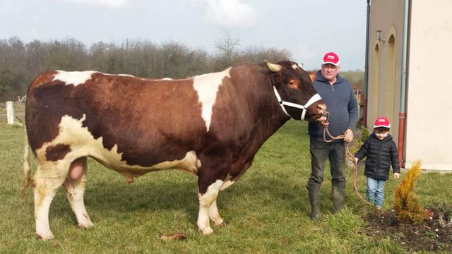 La Moselle qui gagne au salon de l'agriculture