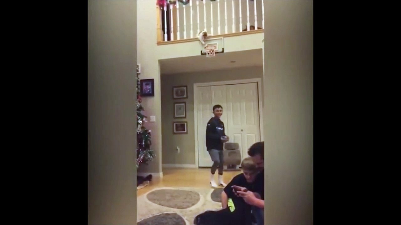 Mieux que les Harlem Globetrotters, voici le chat basketteur!