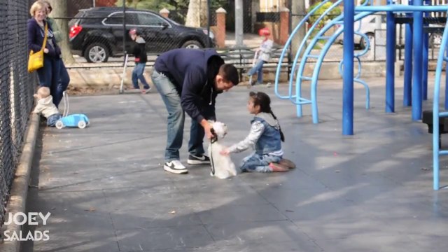 Ils prouvent à ces parents comment il est facile d'enlever des enfants grâce à un chien - expérience sociale flippante