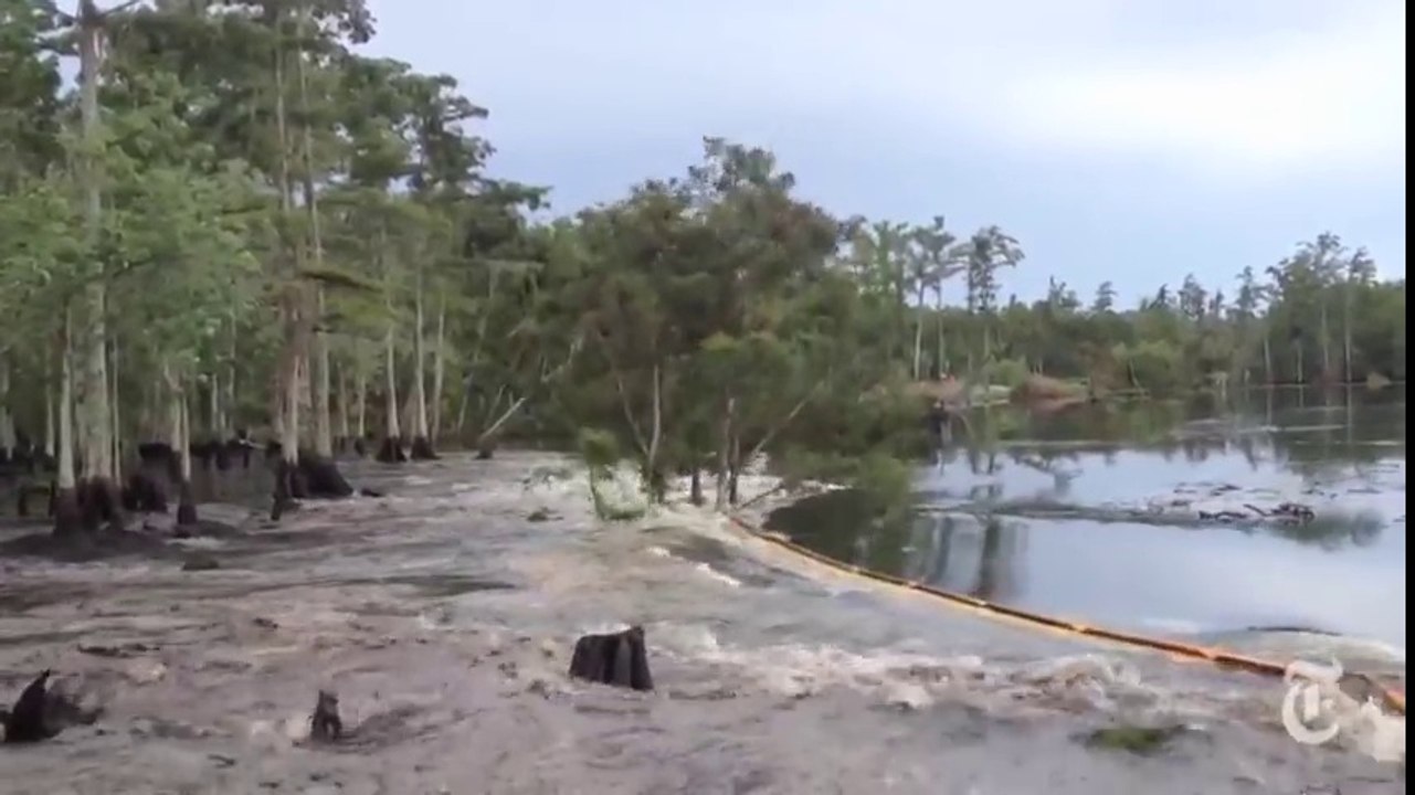 Un glissement de terrain avale des arbres comme de vulgaires bout de bois