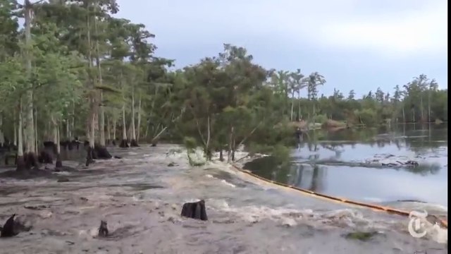 Un glissement de terrain avale des arbres comme de vulgaires bout de bois