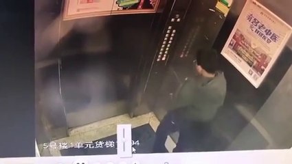 Un enfant fait planter un ascenseur en faisant pipi sur les boutons.