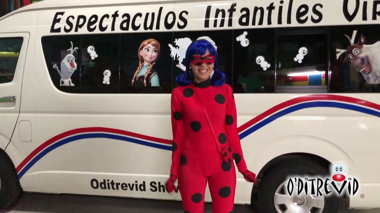 Lady Bug