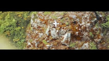 Edward Maya - I Can't Stop Habibi (Official Edit)