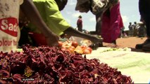 South Sudan faces food security crisis