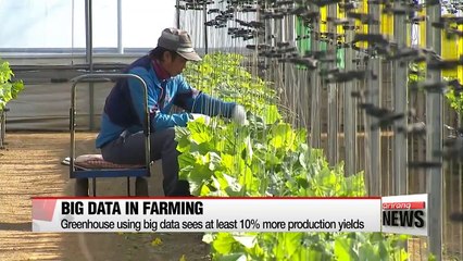Big data brings efficiency to Korean agricultural industry