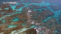 COP23: Oceans protection priority in fight against climate change