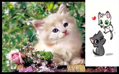 learn Animals sounds(تعليم اصوات الحيوانات للاطفال HD )