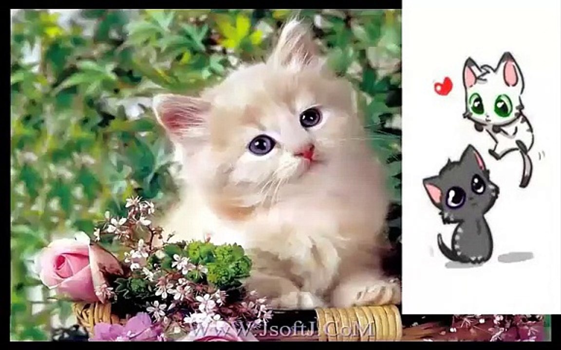 learn Animals sounds(تعليم اصوات الحيوانات للاطفال HD )