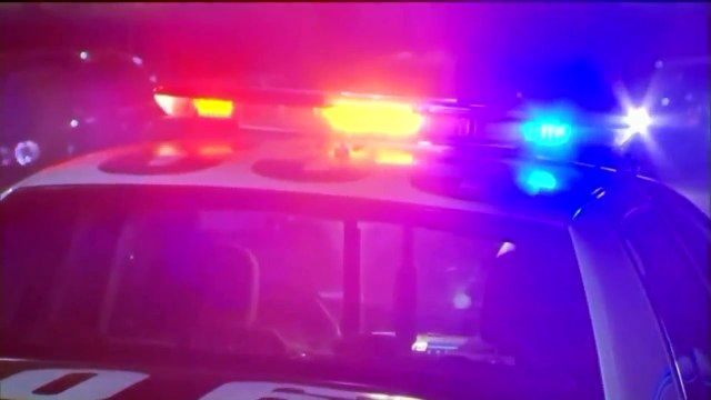 Two LAPD Officers Plead No Contest to Raping Women While on Duty