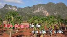 Em Đi Qua Cầu Cây - Cẩm Ly