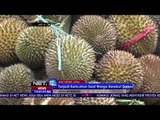 Keramaian Festival Bagi Bagi Durian Gratis - NET 12