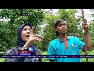 Panen Buah di Taman Mekarsari Bogor, Jawa Barat - NET 12