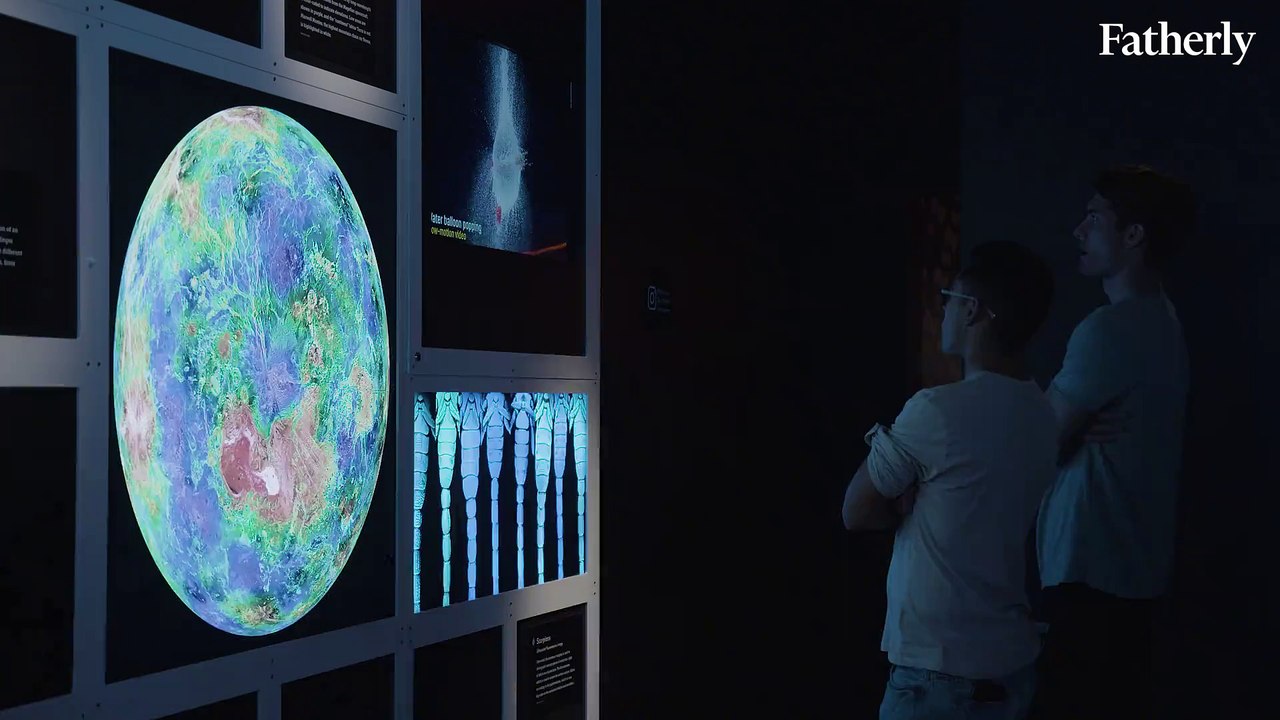 Our Senses Exhibit