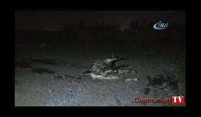 Adana'da kaçak et baskını: İki atı kesilmekten polis kurtardı