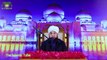 Sanpo Ka Kam Aj Kal Insan Kr Rahe hai latest clip | Muhammad Raza Saqib Mustafai